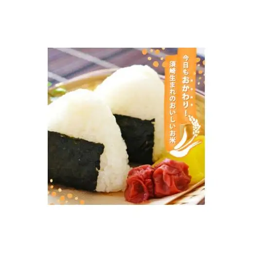 【 コシヒカリ 】 コシヒカリ3kg
