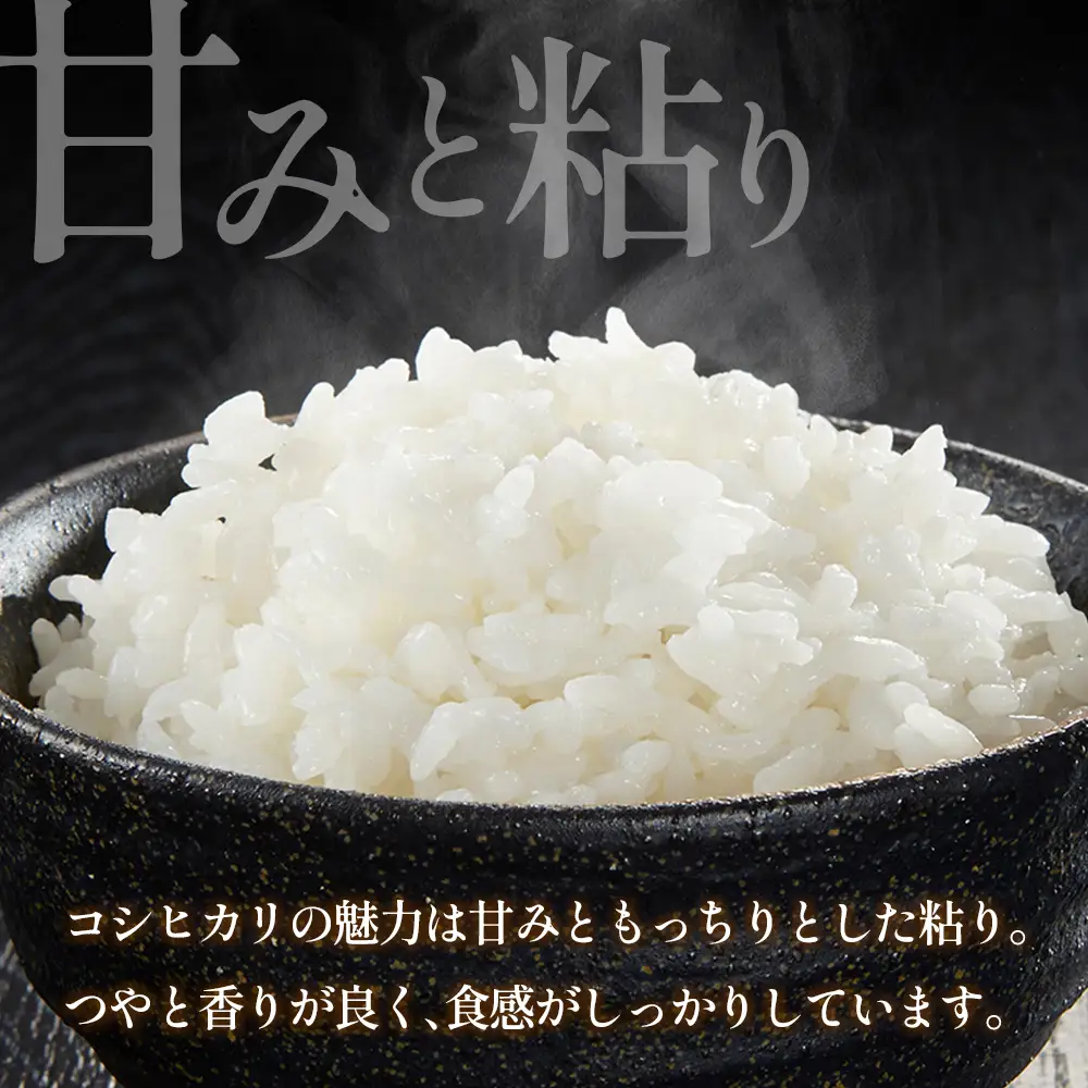  ≪新米予約受付中!!≫ 栄ファーム 大朝の米こしひかり 精米5kg 2026年産米 米どころ北広島町のおいしいお米 10月中旬発送_SA091_008