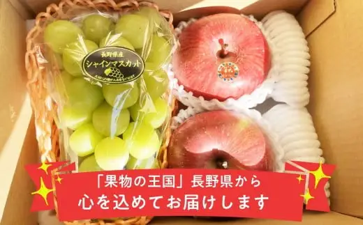 冬に食べるシャインマスカットとサンふじ詰合せ 1房（約500g） 2～3玉［おぶせファーマーズ］ ぶどう りんご 林檎 リンゴ 果物 フルーツ  長野 信州 数量限定 令和8年産【2026年11月下旬～2027年1月下旬発送】[F-66]