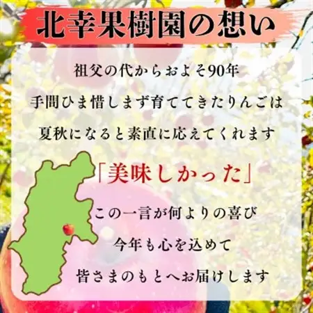 【2026年先行受付】長野直送!信州八ヶ岳のりんごシナノドルチェ約5kg(12～18玉)蓼科高原果物【配送不可地域：離島】【1665924】