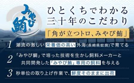 本マグロ大賞受賞 みやび鮪 たたき 約600g （約6～7人前） ・ 【訳あり】 みやび鮪 切り落とし 端っこちゃん 約600g （約6～7人前） 合計約1.2kg 訳アリ わけあり 理由あり 鮪 まぐろ 本マグロ 本鮪 本まぐろ タタキ トロ 魚 九州 長崎県 長崎市 冷凍