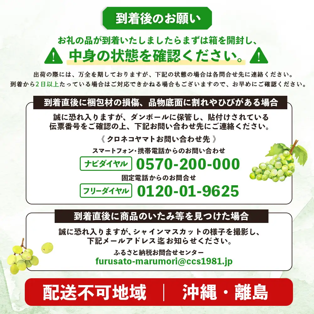【先行予約】《2026年9月下旬～11月下旬出荷》 宮城県丸森町産 シャインマスカット　3房(1房 600g以上)　【48006】