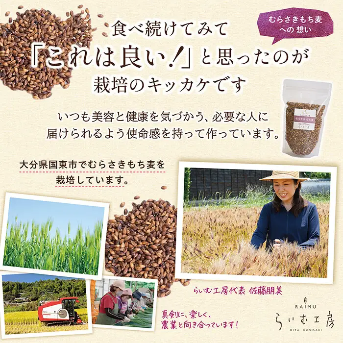  むらさきもち麦 (計3kg ・500g×6袋) 常温 もち麦 紫もち麦 食物繊維 大麦 小分け 国産 【opas001】【らいむ工房】