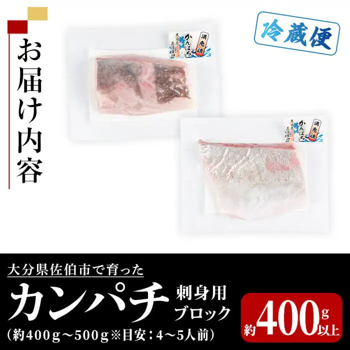 カンパチ 刺身用 ブロック (約400-500g・4-5人前) カンパチ かんぱち 鮮魚 刺身 海鮮 鮮魚 さしみ 刺し身  【opba003】【海べ】