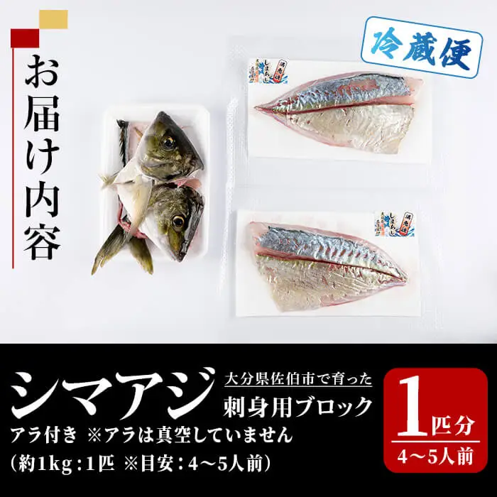 シマアジ 刺身用 ブロック (1匹分・4-5人前) シマアジ しまあじ  鮮魚 刺身 海鮮 さしみ 刺し身 【opba005】【海べ】