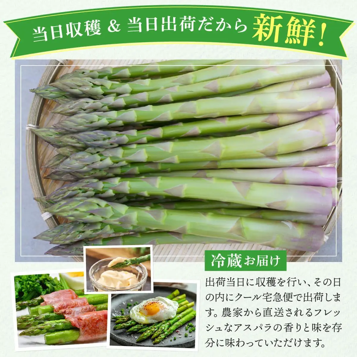 【2027年先行予約】太くてあまーい 北海道産 春芽 アスパラ (約2kg)【ffk-006】