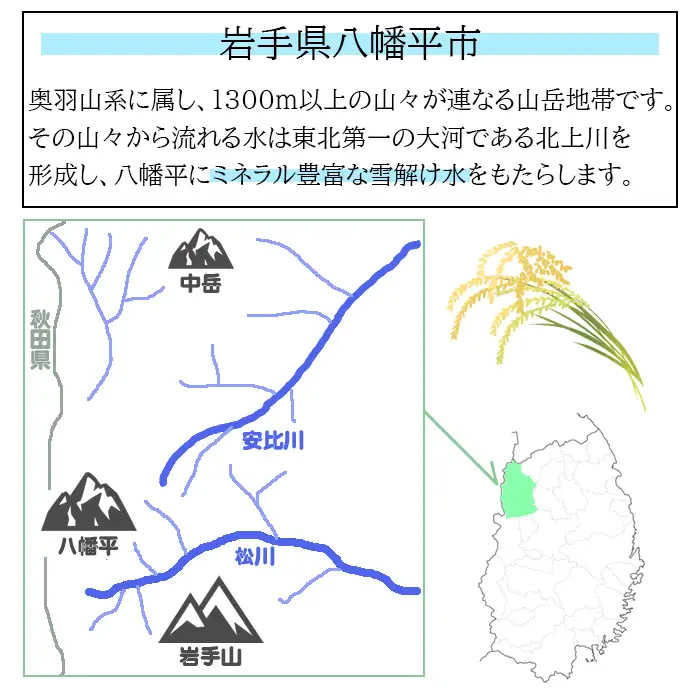 令和8年産 新米 《先行予約 2026年10月下旬より順次発送開始予定》 ひとめぼれ 精米 5kg ／ 白米 岩手県産 伊藤一夫