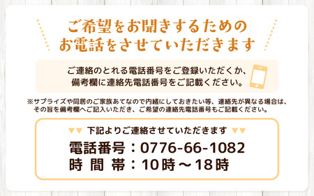 定期便 ≪12ヶ月連続お届け≫ 季節のフラワーアレンジメント L (カラフル) 花束 生花 プレゼント [O-20703_03]