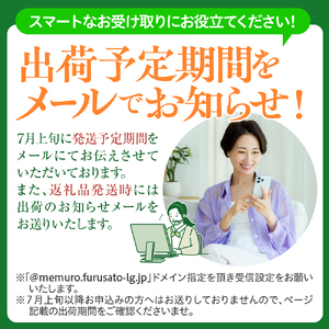 【2026年8月上旬～8月下旬頃配送】【訳あり】北海道十勝芽室町 とうもろこし ゴールドラッシュ Lサイズ 10本セット　キャンプ飯 BBQ ソロキャン人気 トウモロコシ 生 野菜 北海道 十勝 芽室町 送料無料 お取り寄せ me078-006c-26