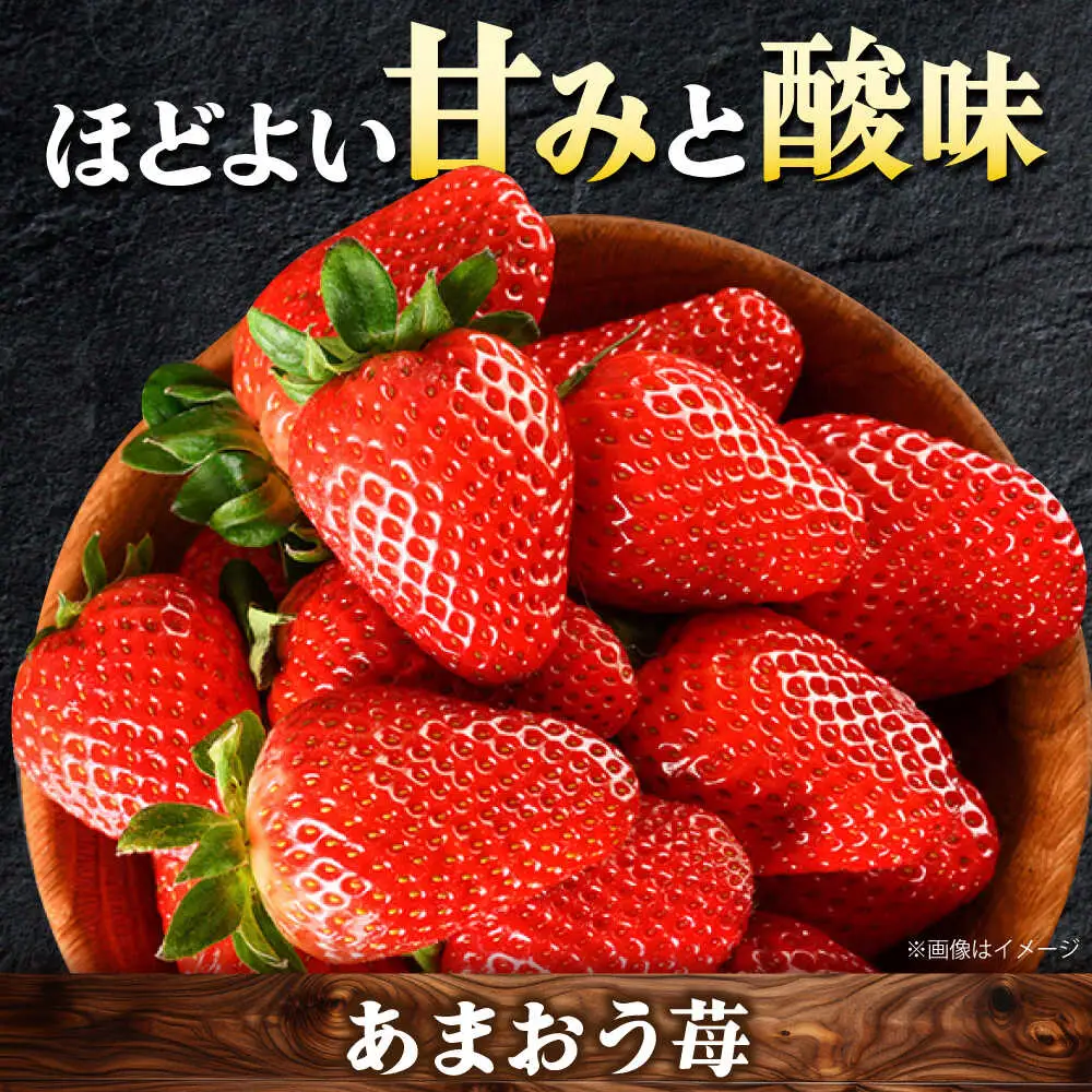 【全8回定期便】博多うまいもん定期便 寄附額 15万円[BGZZ016] 福岡 九州 グルメ