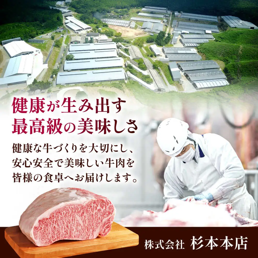 くまもと黒毛和牛 黒樺牛 A4〜A5等級 肉厚サーロインステーキ 約600g 黒毛和牛サーロインステーキ[AYBJ019]