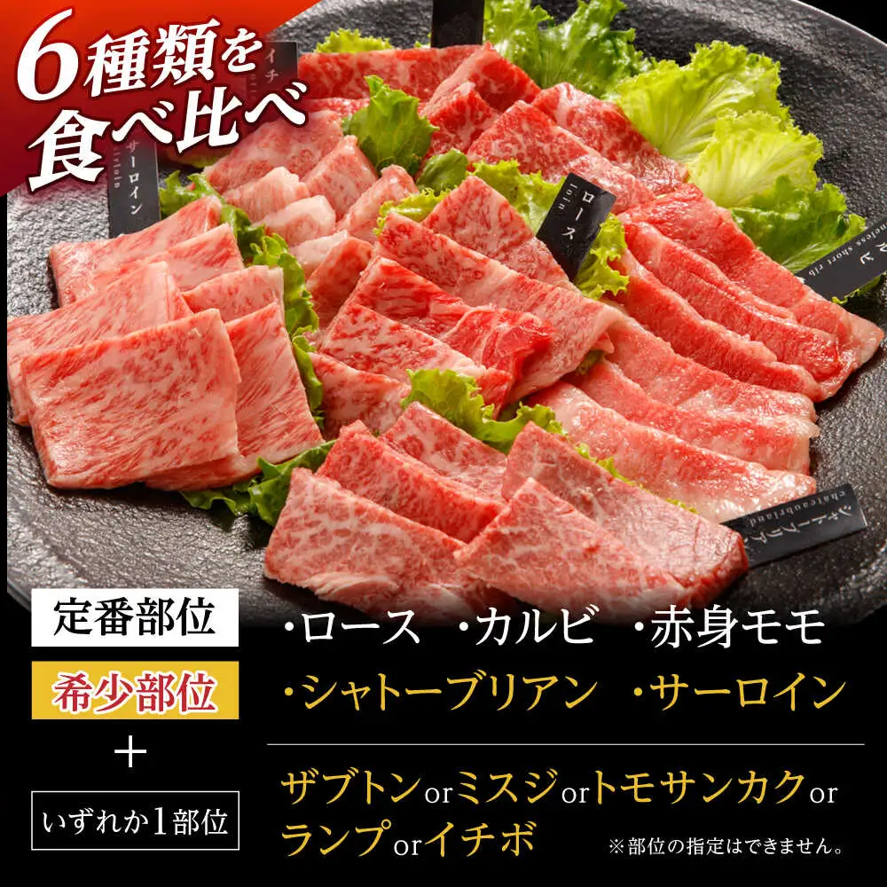 〈シャトーブリアン入り〉希少部位 焼肉 6種食べ比べセット 600g(各100g) / シャトー サーロイン カルビ モモ ロースザブトン ミスジ トモサンカク イチボ ランプ 長崎和牛 国産 牛肉 和牛 a5 焼肉 やきにく 焼き肉用 セット / 諫早市 / 野中精肉店[AHCW146]