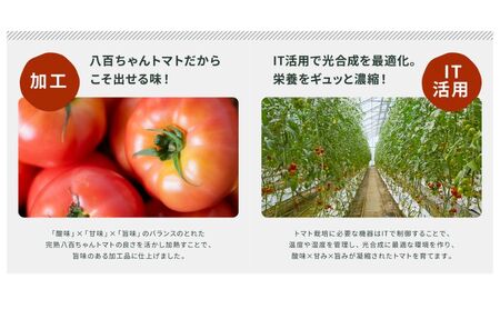 パスタソース 本格トマト味 八百ちゃんトマトパスタソース【120g×2本】【定期便全4回】
