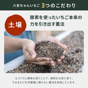 いちごジャム農家のホンモノ八百ちゃんいちご砂糖不使用いちごジャム【140g×2本】【定期便全3回】