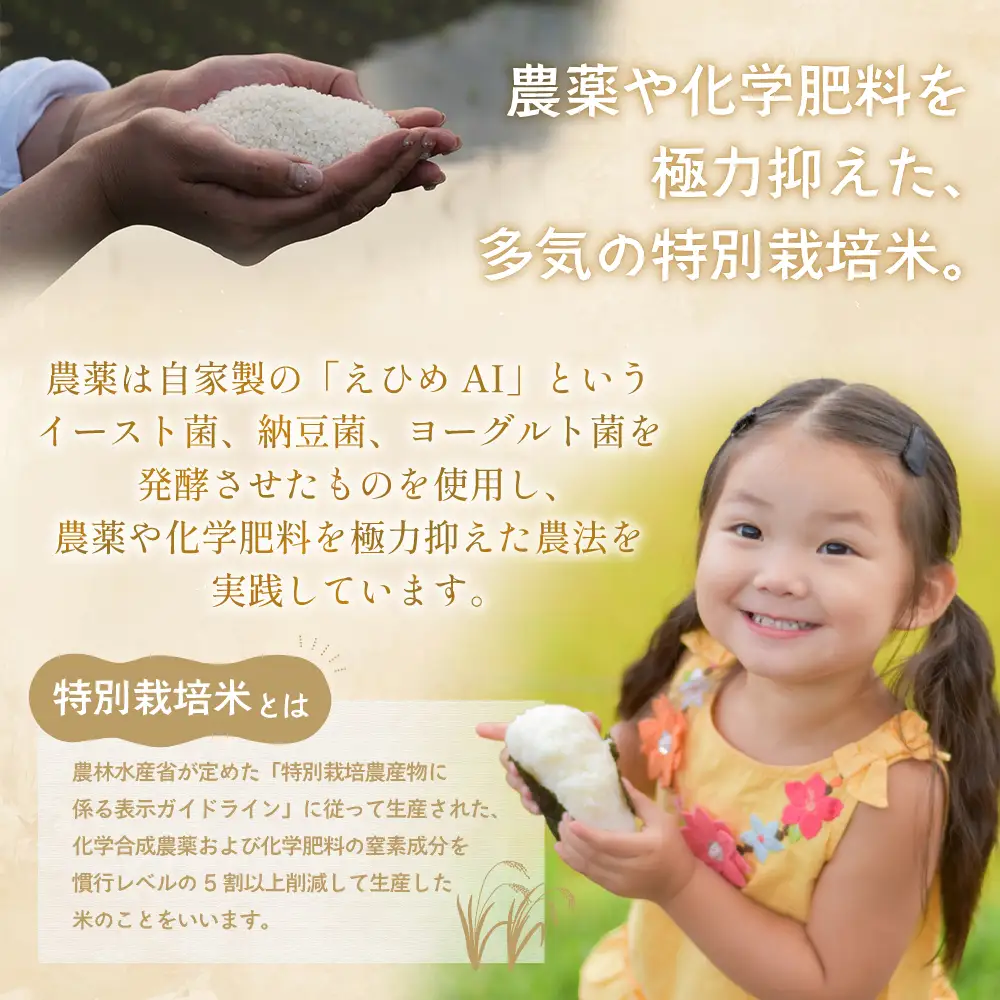 【3月発送予定】令和８年産 特別栽培米 循環型農業で作った「にじのきらめき」10kg (5kg×2)