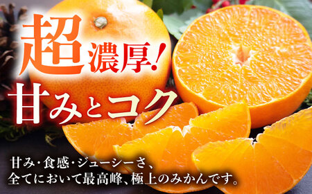 【露地栽培】せとか約3kg（12-15玉） 長与/JAじげもん長与直売所[EAF008]