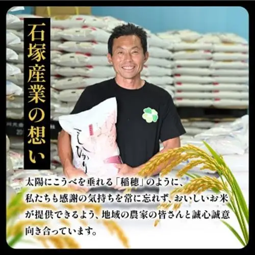 令和8年産 新米 あきたこまち 玄米 10kg | 米 あきた小町 茨城県かすみがうら市【1666722】