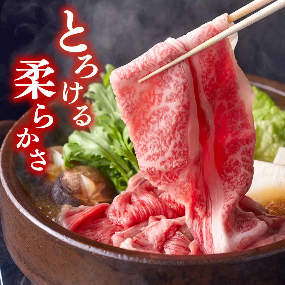長崎和牛 牛肉切り落とし 1kg / 牛肉切り落とし CFT028