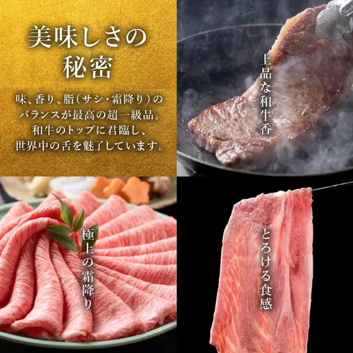 松阪牛 しゃぶしゃぶ 1200g 赤身と霜降り [ 松阪牛 ] / 002125A