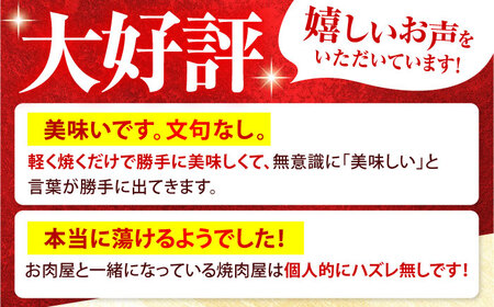 【A5等級】 飛騨牛 切り落とし 500ｇ 用途いろいろ 多治見市 / 飛騨牛の丸明 冷凍 和牛 赤身 霜降り[THL002]