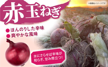 【先行予約】 玉ねぎ（白・赤）セット 計5kg 【吉祥】[HDG002]