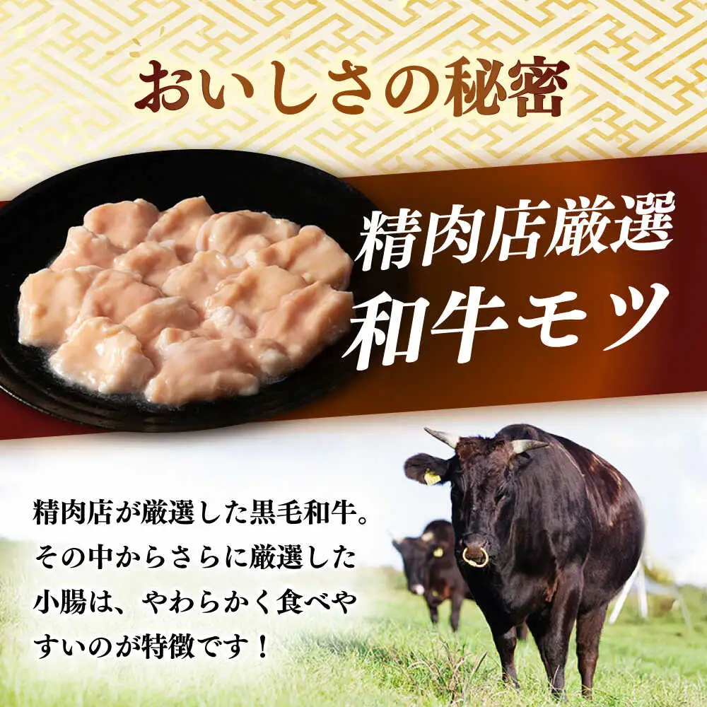 もつ鍋 醤油味 6人前 麺なし [ABCL173] もつ鍋