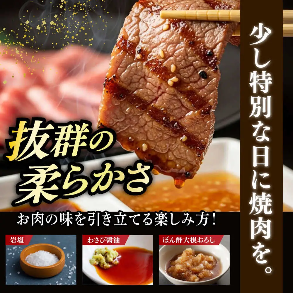 【訳あり】 博多和牛 ヒレ  600g[ABCL177] ヒレ フィレ 牛肉