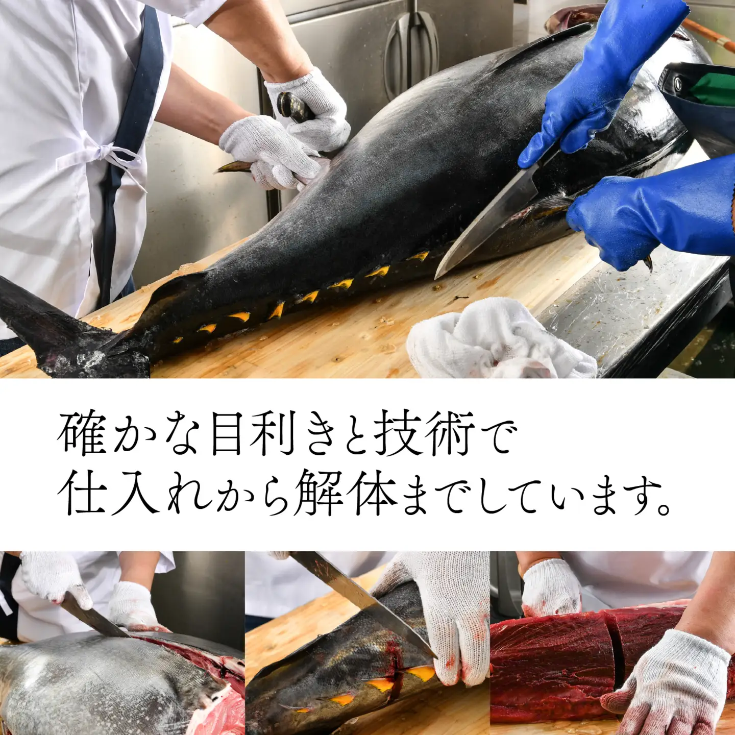 国産 本マグロ 赤身 約500g 3～4人前 / まぐろ [A-066004]