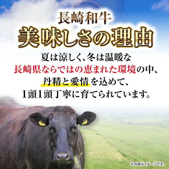 長崎和牛ヒレステーキ（150g×4枚）《壱岐市》【太陽商事】 肉 牛肉 和牛 ヒレ フィレ ヘレ ご褒美 ギフト 贈答用 ご褒美 冷凍配送 A4 A5[JDL130]