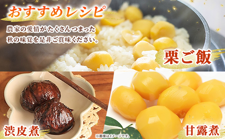 ＜栗の王様 銀寄栗（生栗）2L（約1kg）＞ 銀寄 ぎんよせ 甘い 生栗 和栗 マロン 栗 くり 栗ごはん 栗きんとん 甘露煮 旬 国産 産地直送 城川ファクトリー 愛媛県 西予市【冷蔵】『2026年9月中旬～10月上旬に順次発送予定』SSF0044