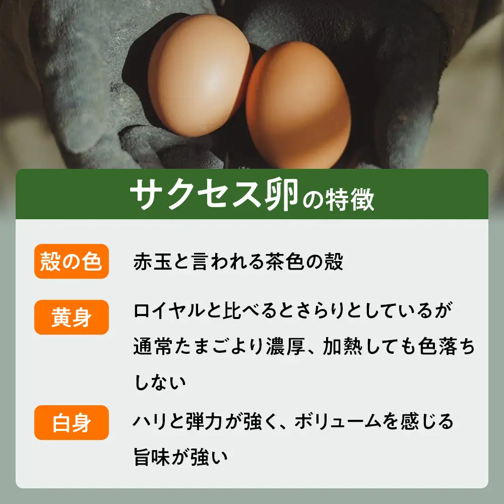 【定期便】5回定期 【天王原のたまご】 サクセス卵30個/ロイヤル卵30個