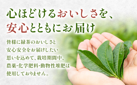 ほうじ茶 ティーバッグ お茶 農薬・化学肥料 不使用