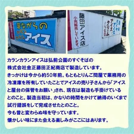 よくばりアイスセット【ケースアイス×5種類・コーン×50個・盛り付け用ヘラ付き】【配送不可地域：離島】【1657753】