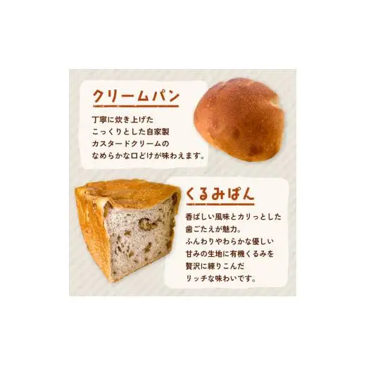 【6ヵ月定期便】オノパン「おかわりしたくなる」パンセット 8品～9品×6回 ／ パン クロワッサン 食パン フランス あんパン クリームパン くるみパン フォカッチャ シナモンロール 個包装 冷凍 手軽 朝食 焼きたて 茨城県 利根町