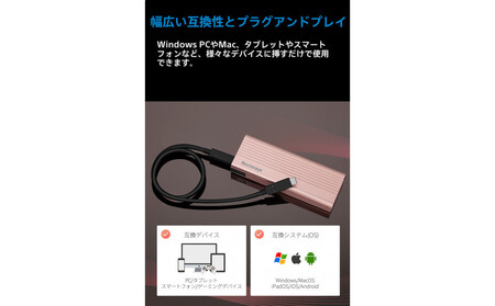 PS5拡張用ヒートシンク一体型SSDケース エンクロージャー NX-EN1SE