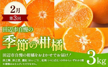 【全4回定期便】和歌山みかん満喫定期便 （早生みかん・ぽんかん・季節のお任せ柑橘・せとか各3kgずつ） ※2025年12月より4回お届け / みかん 定期便 柑橘 せとか フルーツ 早生みかん ミカン 和歌山 果物 田辺市 くだもの【tcs022-tk】