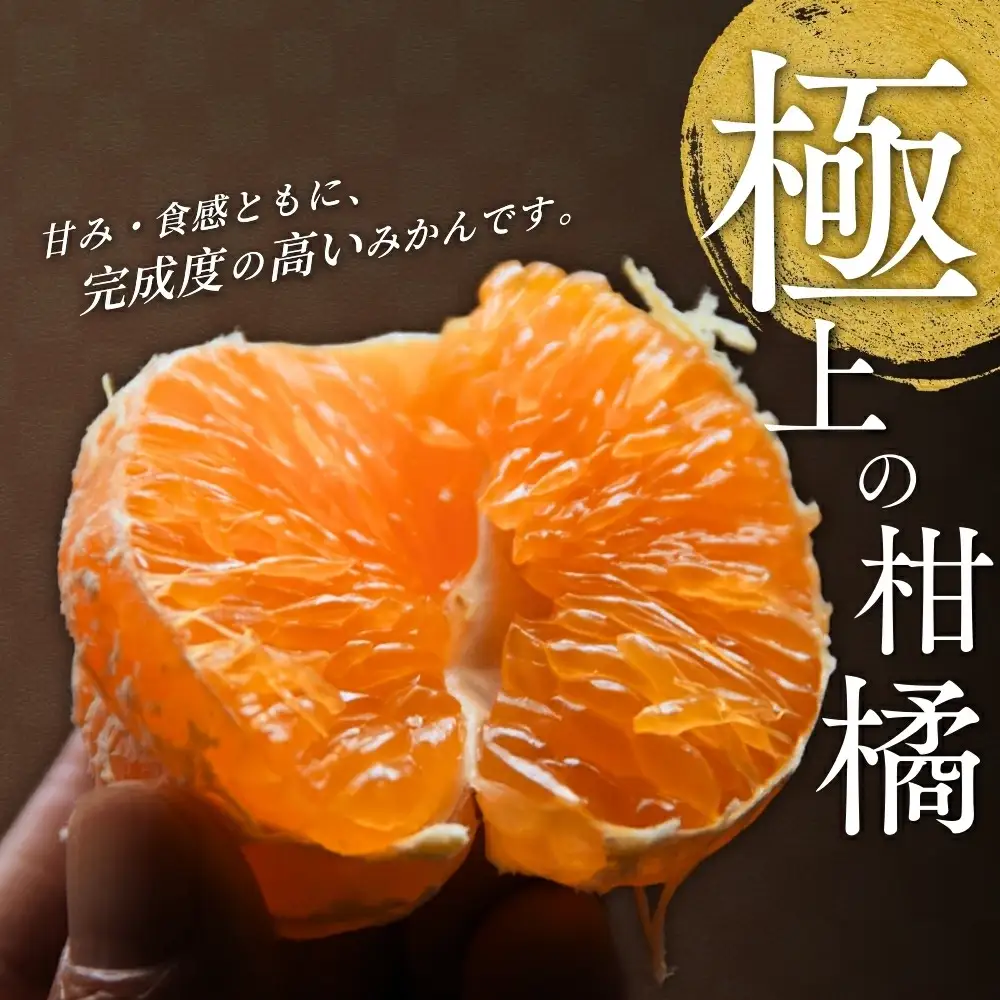 ＼数量限定／ 露地栽培のせとか 3kg / せとか 柑橘の大トロ 高級 ブランド 希少なせとか 品種 和歌山蜜柑 和歌山ミカン 高級みかん 人気みかん 果物 くだもの フルーツ 柑橘 蜜柑 産地直送 国産 和歌山 【tcs027-1】