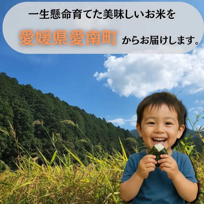 【先行予約】 令和8年度産 新米 ヒノヒカリ 10kg 愛媛県 愛南町 愛南町青果市場