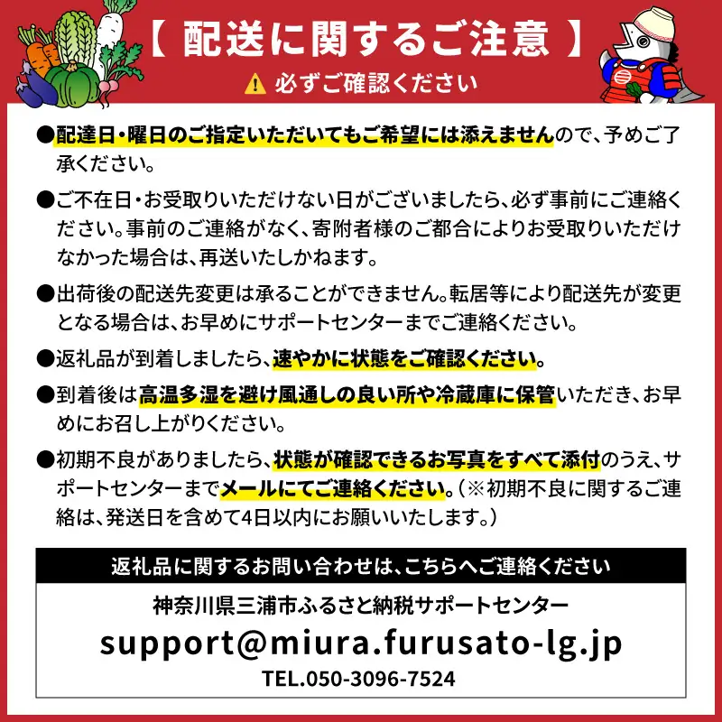 沢庵大樽 と キャベツ セット （ご入金締切2027年1月31日まで） M002-006 野菜 三浦野菜