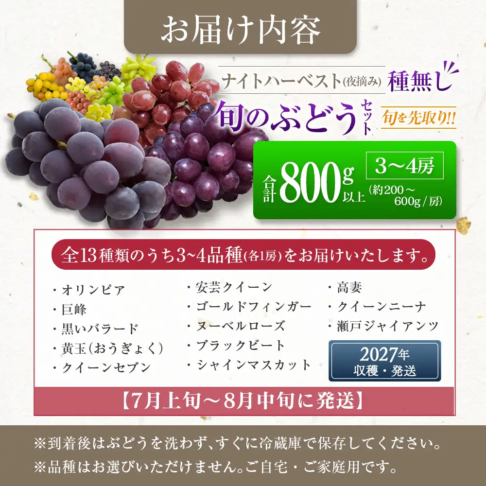 ［ご自宅・ご家庭用］ブドウ 2027年収穫・発送 ナイトハーベスト(夜摘み)『旬の種無しぶどうセット』 合計800g以上 3～4房 希少 人気 ブドウ フルーツ 果物【B668-27】