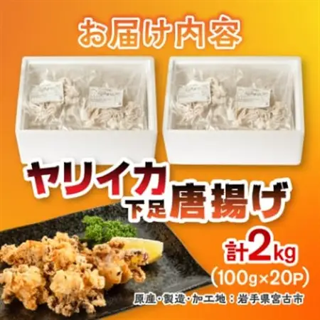 ヤリイカ下足唐揚げ宮古産 100g×20パック(2kg)【配送不可地域：離島】【1668732】