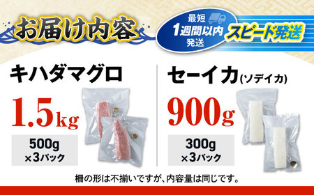 海の幸セット (冷凍キハダマグロ1.5kg / セーイカ0.9kg) [BCDZ005]