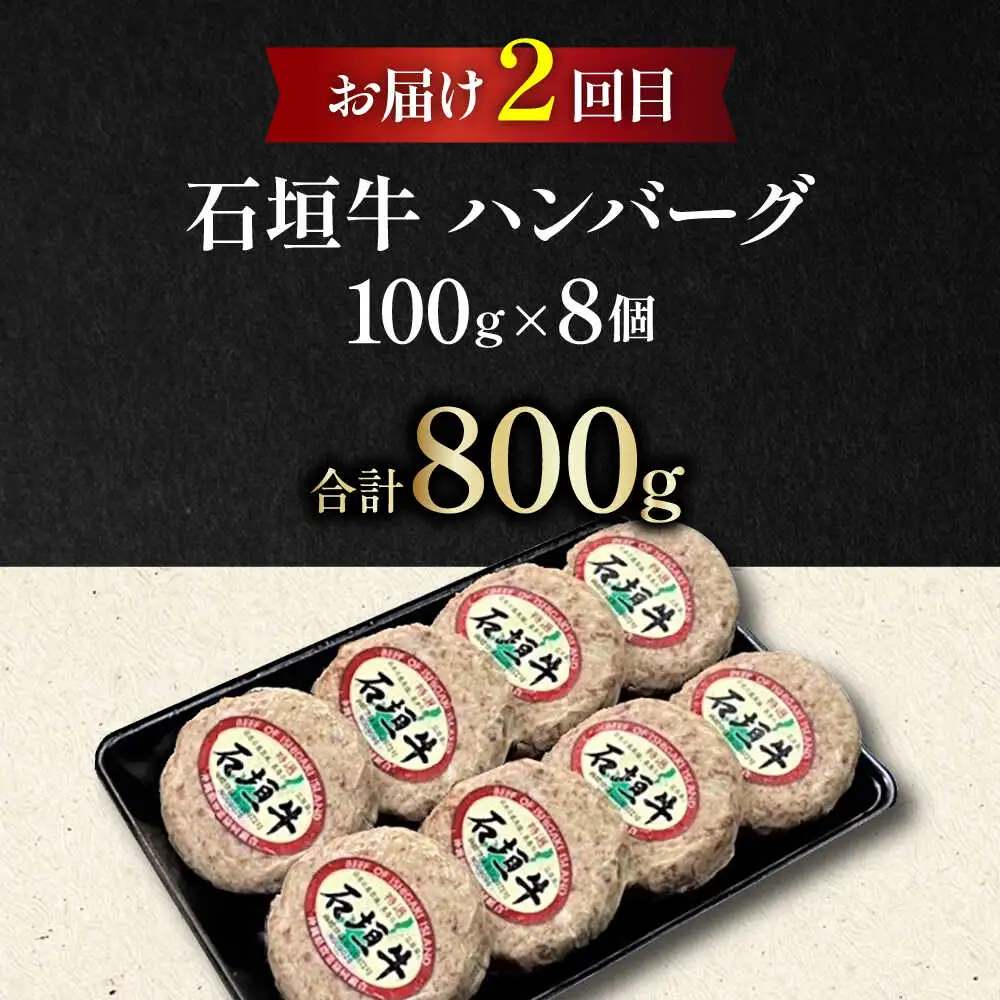 【全3回定期便】家族で満喫！沖縄のお肉贅沢セット【沖縄市】ハンバーグ あぐー 石垣牛 ステーキ 焼肉 冷凍 ギフト お取り寄せ 沖縄市 / お肉屋本店 / 肉のサブロー[BCZZ033]