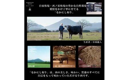 宮崎県西ノ原牧場・なかにし和牛赤身しゃぶしゃぶモモ 600g（国産 牛肉 肉 宮崎牛 黒毛和牛 お肉 しゃぶしゃぶ なかにし和牛 焼肉 人気 モモ 赤身)