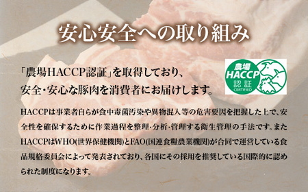 671 梅里豚 バラスライス 1kg(500g×2パック) 豚肉 国産 ブランド豚