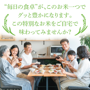 【3ヶ月定期便】【金賞農家が栽培した家庭用米】立神米「にじのきらめき」5kg×3回（白米）｜茨城県 大子町 奥久慈 大子産米 精米 米 コンテスト 受賞 生産者（BT062）