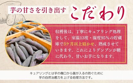 【定期便6回】【個包装】焼き芋 ねっとり甘い 国産 紅はるかの冷凍石焼き芋 3.6kg(180g×20袋)