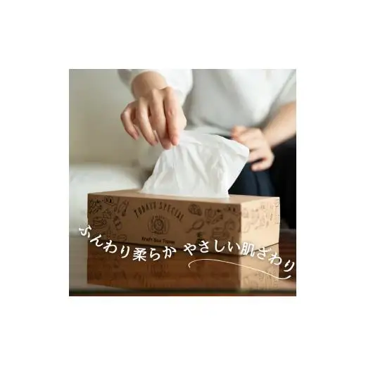 エルモア ティッシュ 20箱｜Kazaru×Kraftyラインアート｜ボックスティッシュ ティッシュペーパー 5箱 4パック