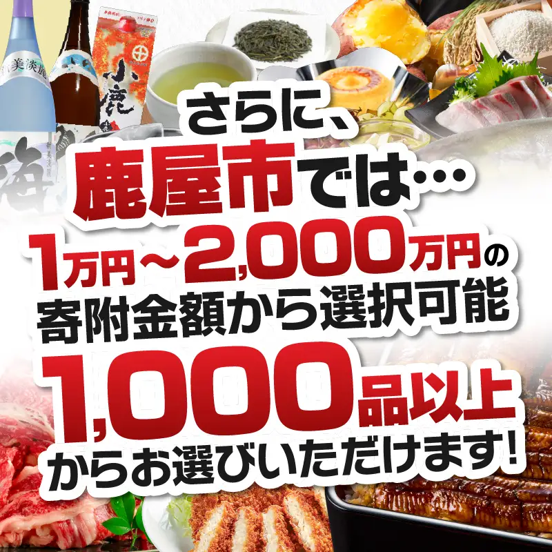 あとからセレクト【ふるさとギフト】10万円 KN000-AS0010 選べる