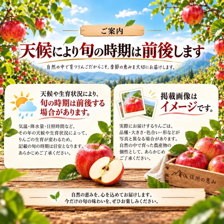 信州の旬のりんごおまかせ約5キロ【018-33】